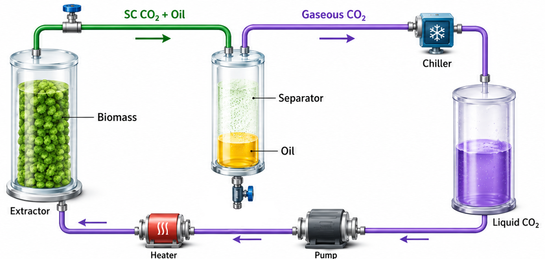 Closed-loop supercritical CO2 extraction system with pump and CO2 recycling loop